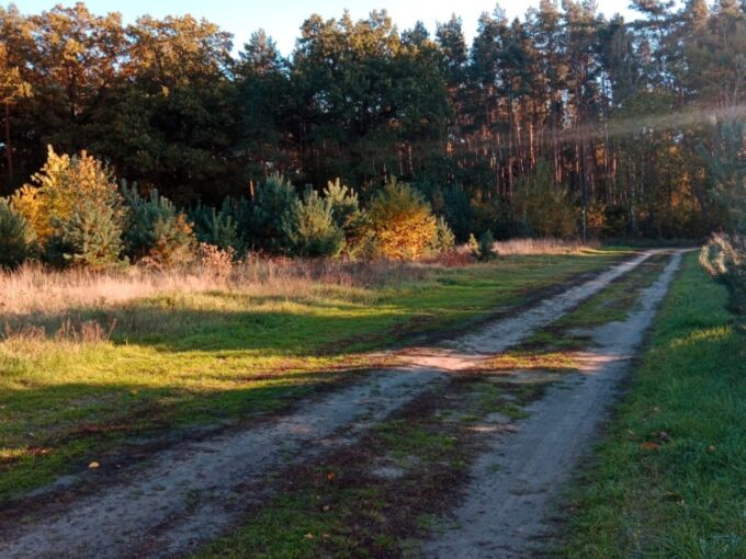 Działka Bogusławki – Sulęcinek