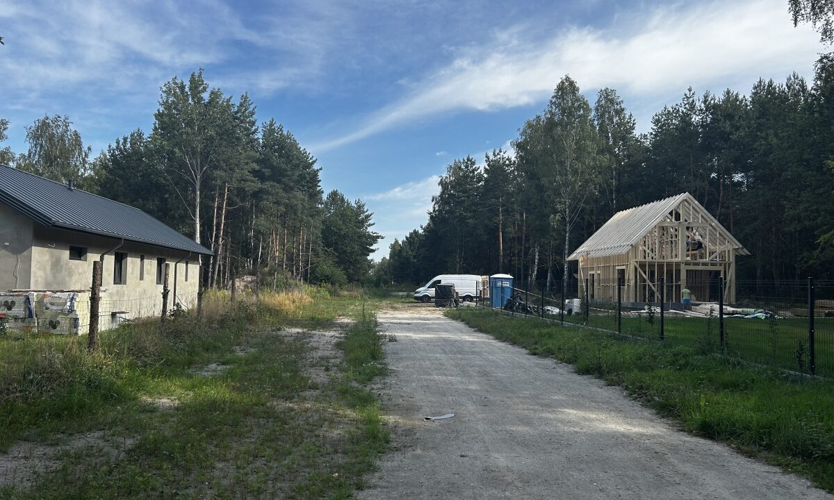 232586_3.jpg