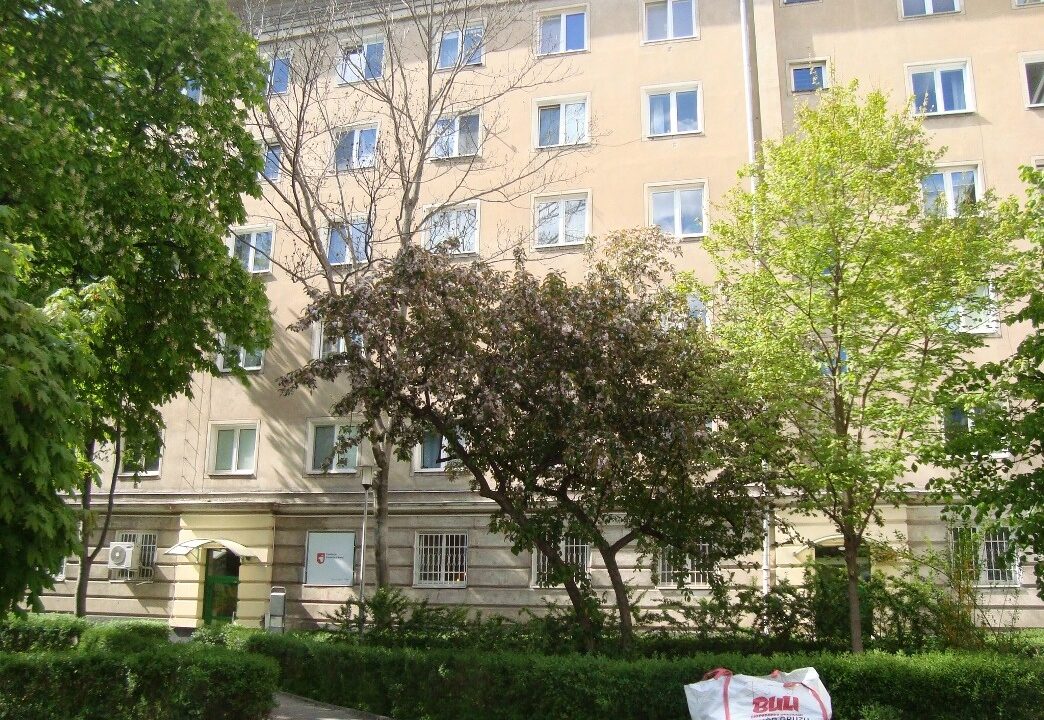235581_3.jpg