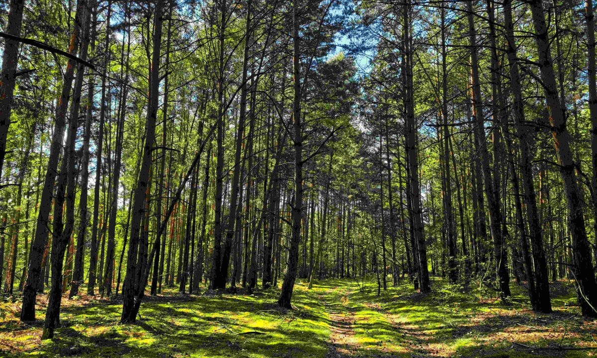 237111_3.jpg