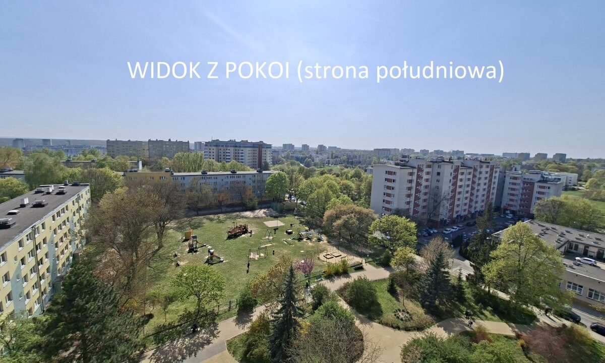 239123_3.jpg