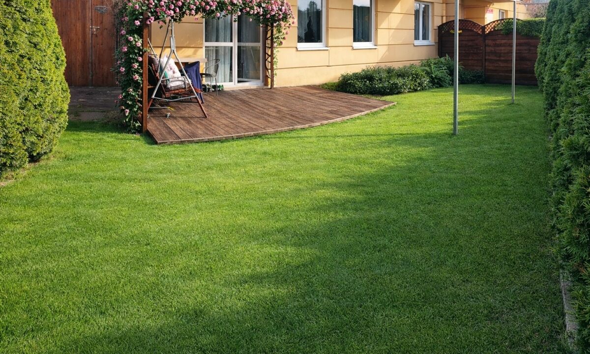 241080_3.jpg