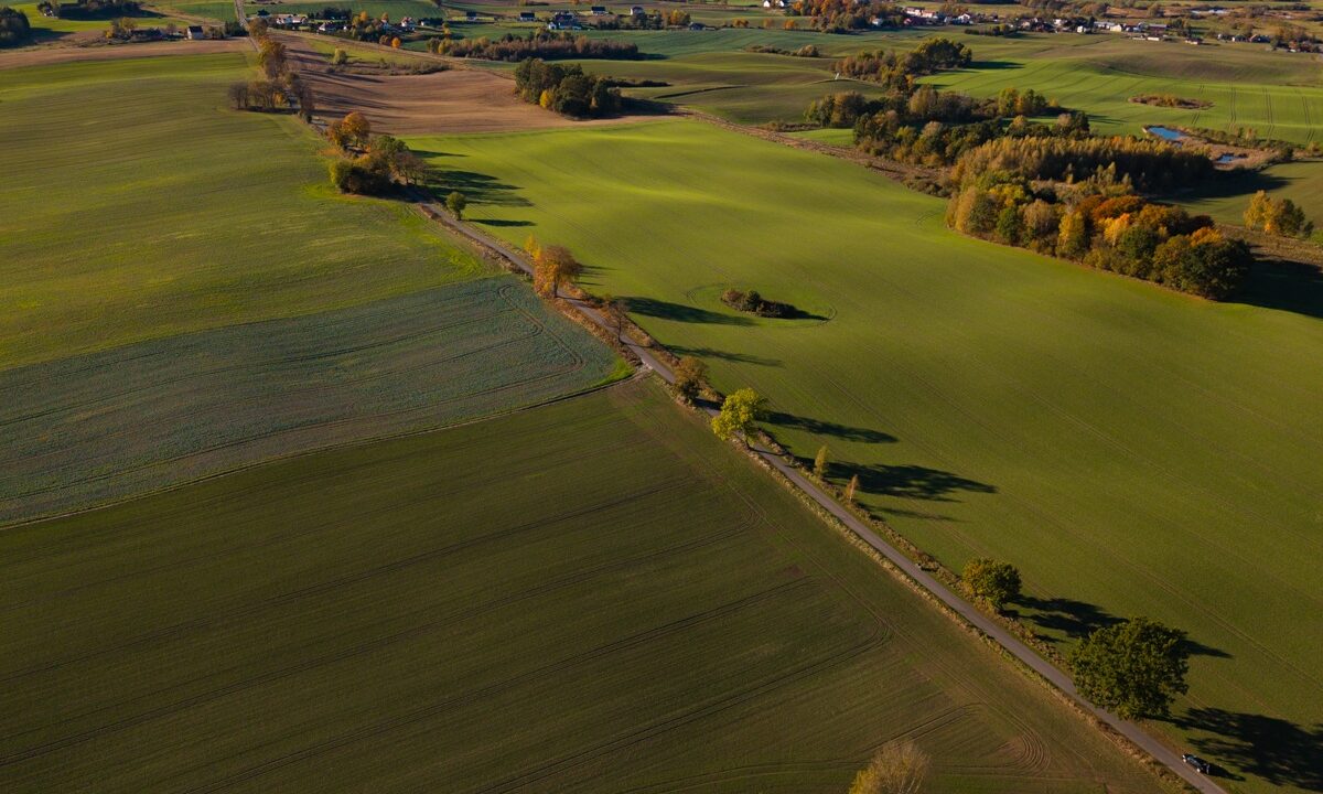 216303_3
