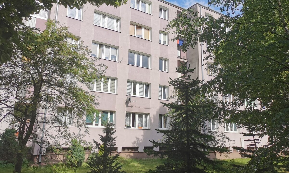 244012_3.jpg