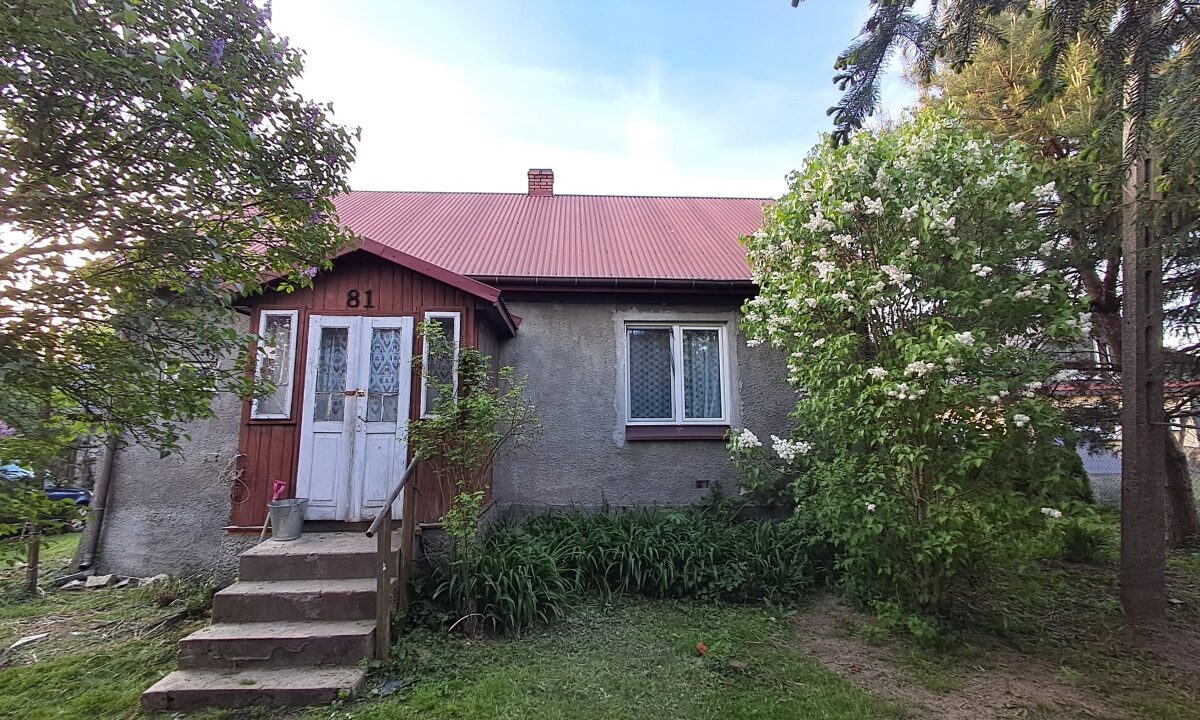 250319_3.jpg
