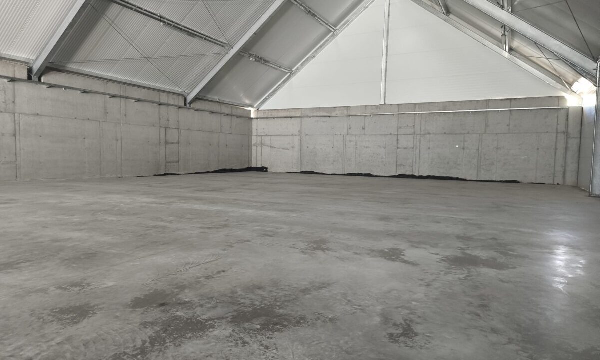 247808_3.jpg