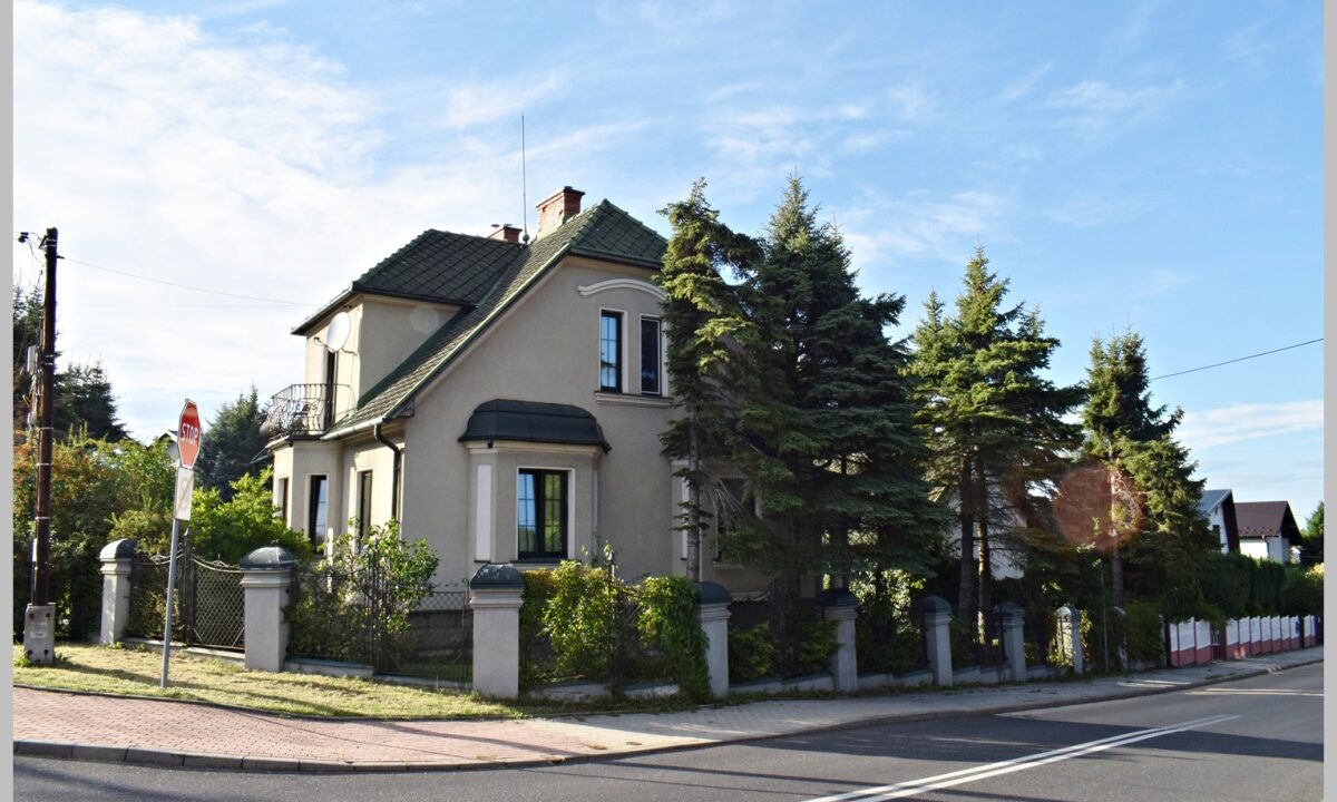 254301_3.jpg