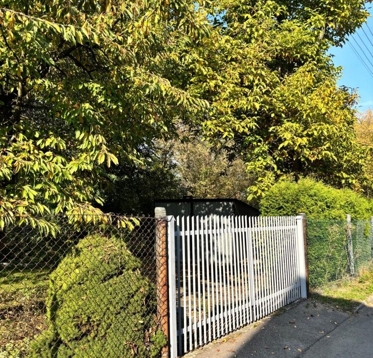 255141_3