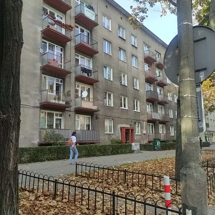 256245_3.jpg