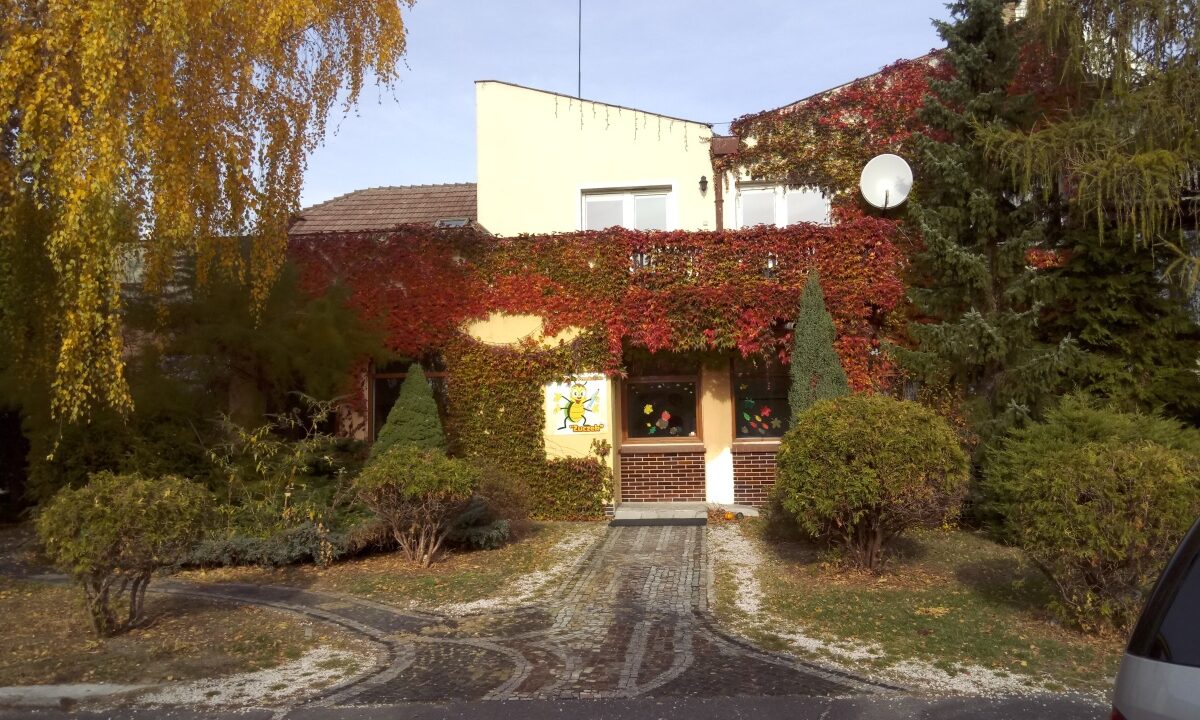 257102_3.jpg