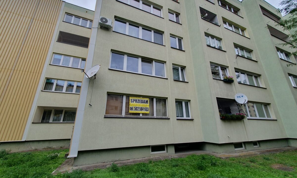 257467_3.jpg