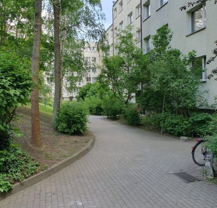 257485_3
