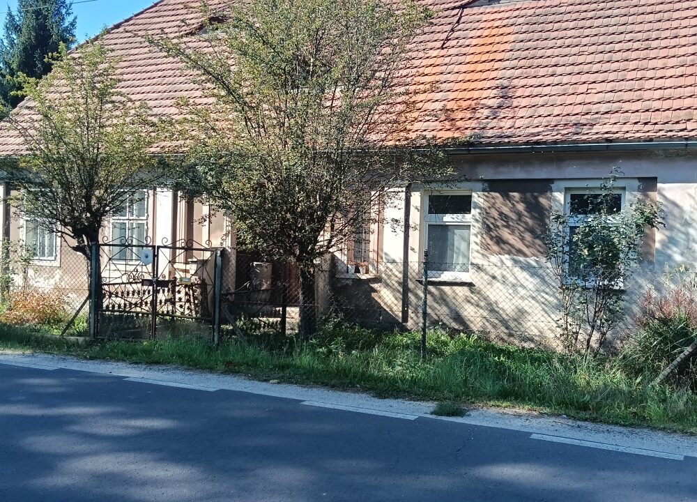 257824_3.jpg