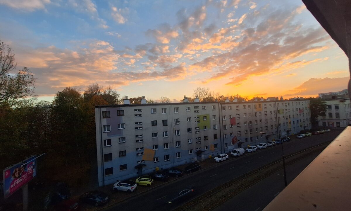 258406_3